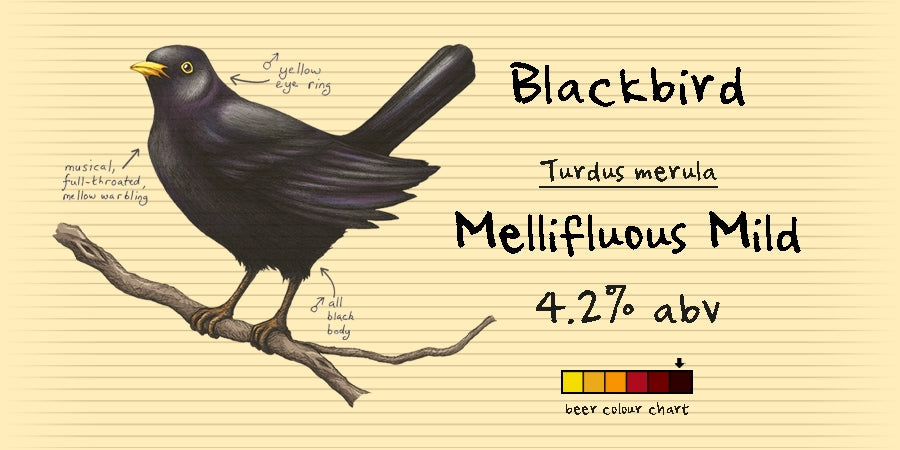 Blackbird Mild